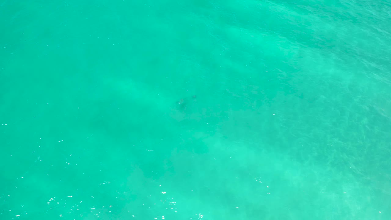 Aerial turquoise water in San Jose Del Cabo, Mexico, with pale cloud-like sand shapes below the surface and no visible people.
