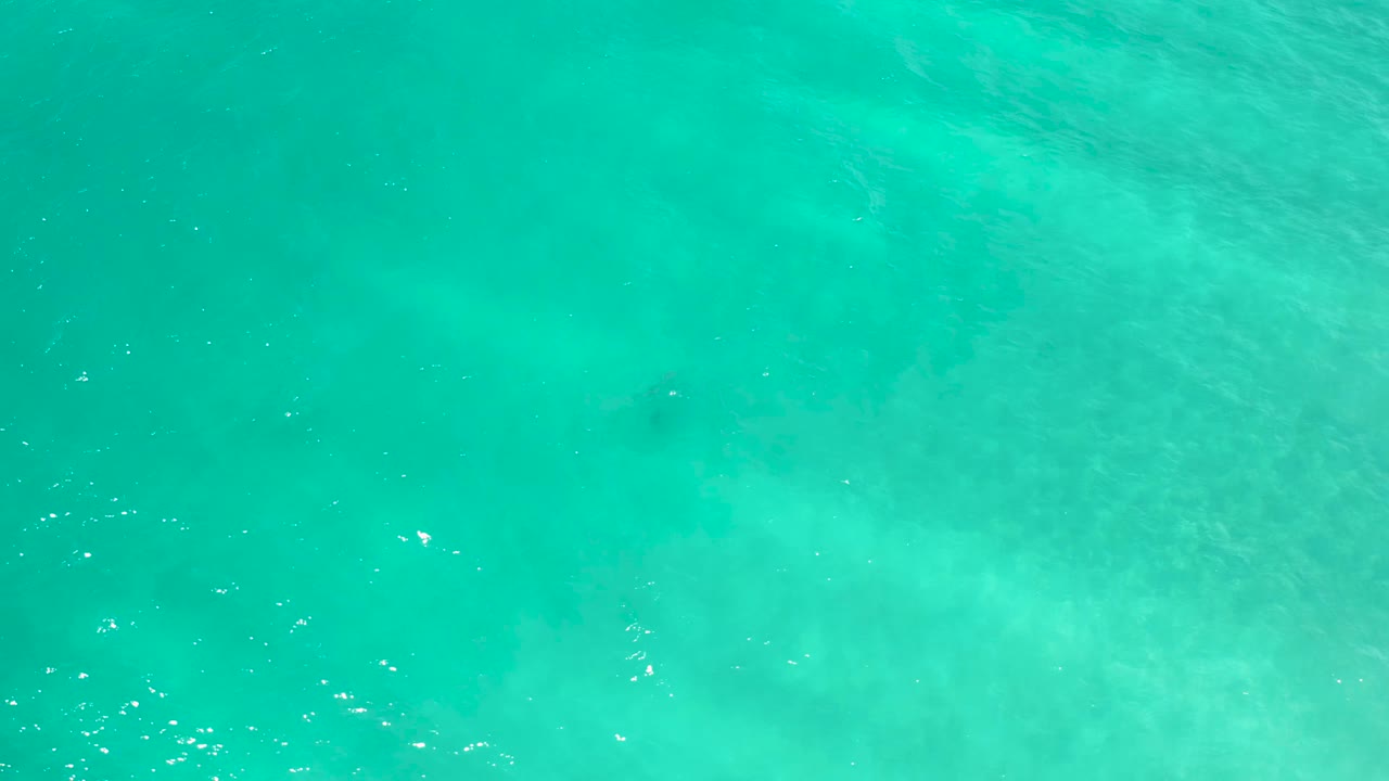 Transparent blue-green sea water in San Jose del Cabo fills the frame with scattered sun flecks, muted underwater patches, and no visible people.