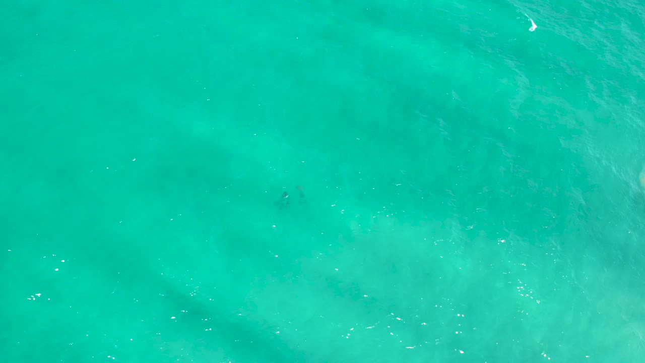 Transparent blue sea water in San Jose Del Cabo fills the frame, with faint ripples and slightly darker underwater patches, and no visible people.