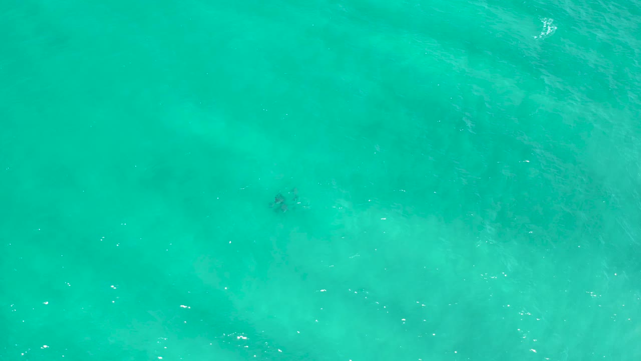 Aerial view of turquoise water over pale cloudy sand shapes in San Jose Del Cabo, with small bright surface specks and no visible people.