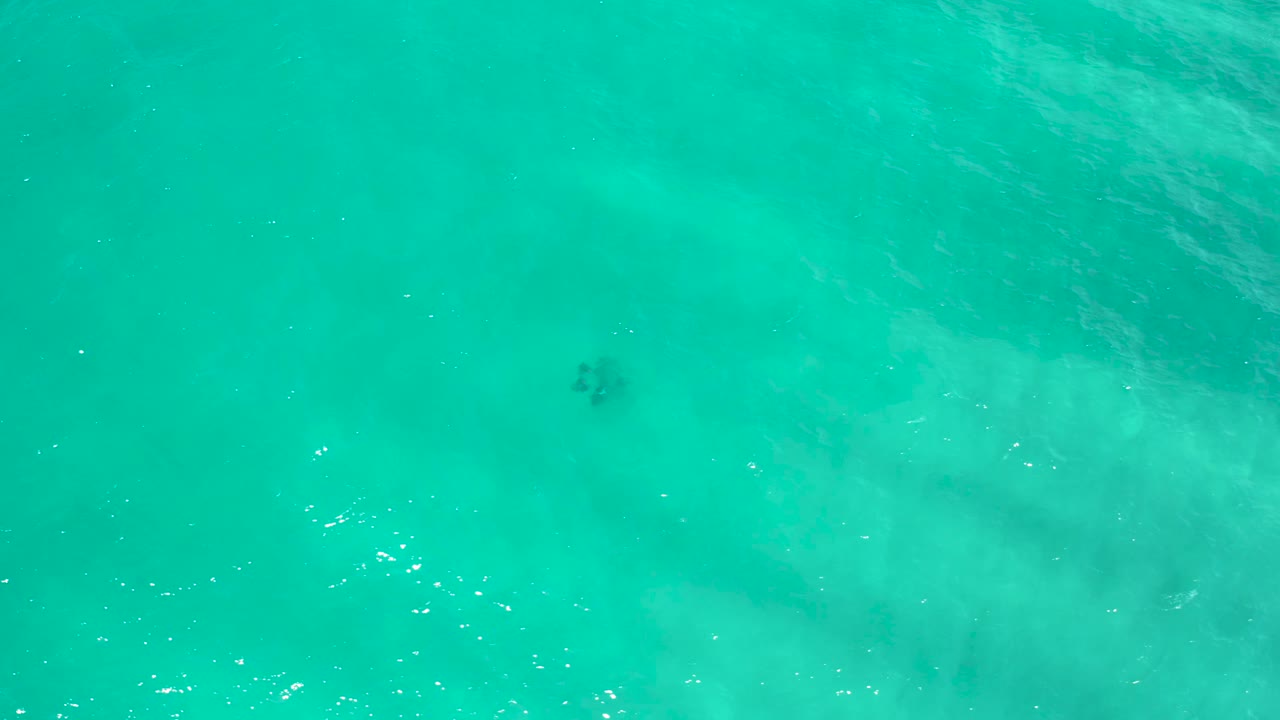 Blue-green ocean water from above in San Jose del Cabo, Mexico, with faint underwater shadows and small white surface glints, no visible people.
