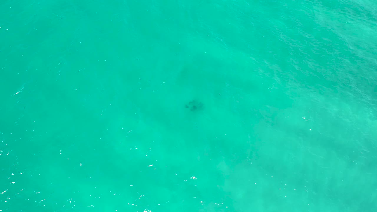 Clear turquoise ocean water in San Jose del Cabo, Mexico, with bright surface flecks near the lower edge and no visible people.