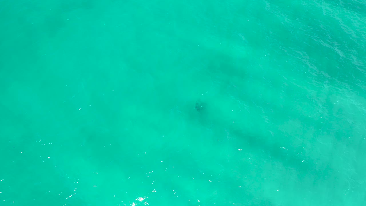 Overhead view of turquoise sea water in San Jose del Cabo, Mexico, with faint darker underwater patches and no visible people.