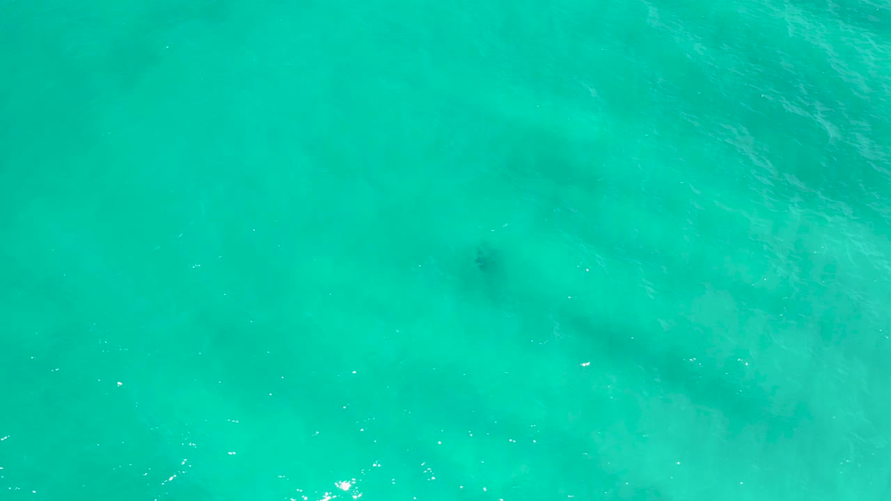 Clear blue-green sea water in San Jose del Cabo, Mexico, with soft surface ripples, a small bright sun reflection, and no visible people.