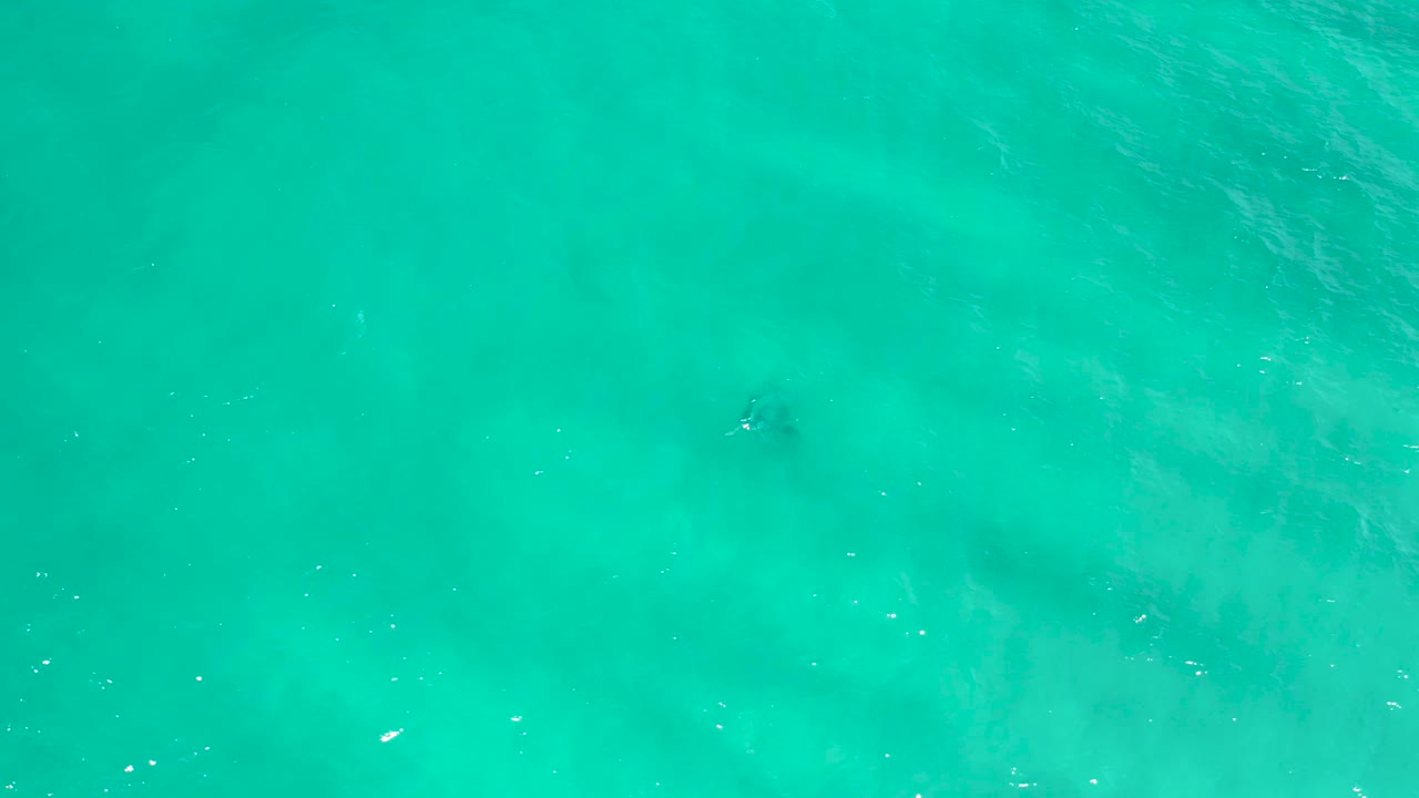 Transparent turquoise water in San Jose del Cabo, Mexico, with cloudy pale shallows visible under the rippled surface and no visible people.