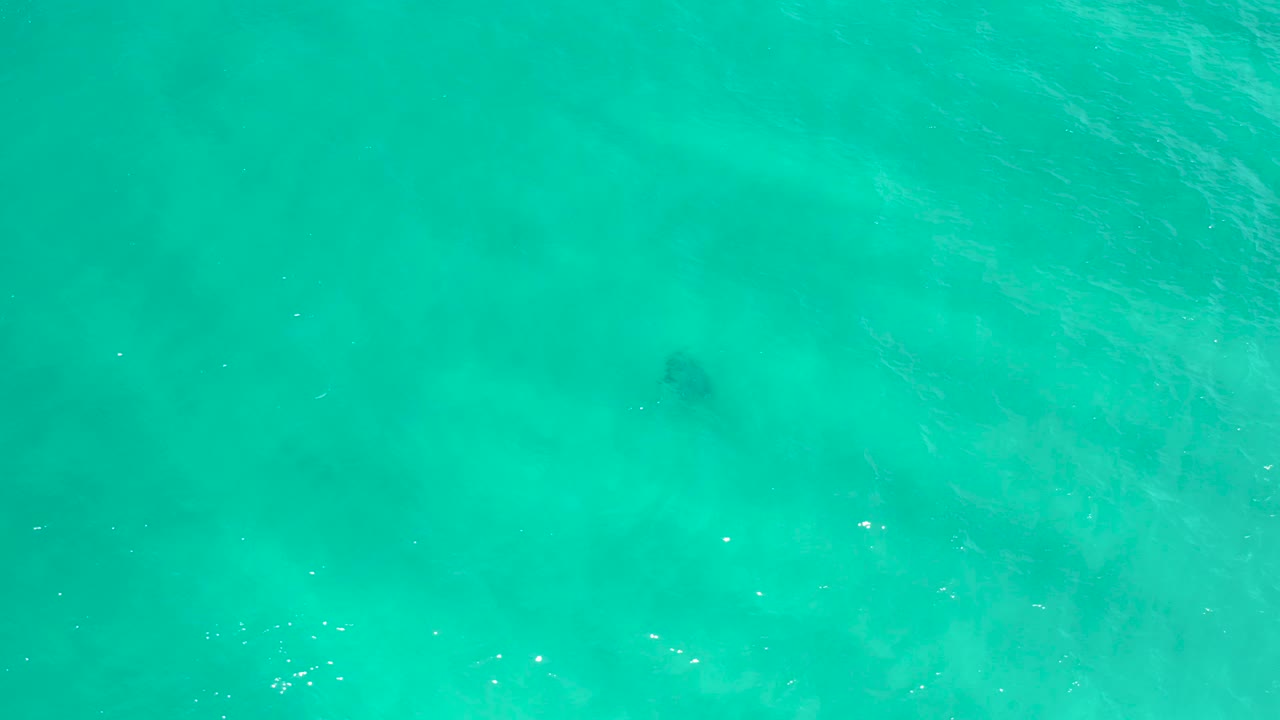 Aerial view of teal sea water in San Jose del Cabo, Mexico, with darker underwater shapes, tiny white highlights, and no visible people.