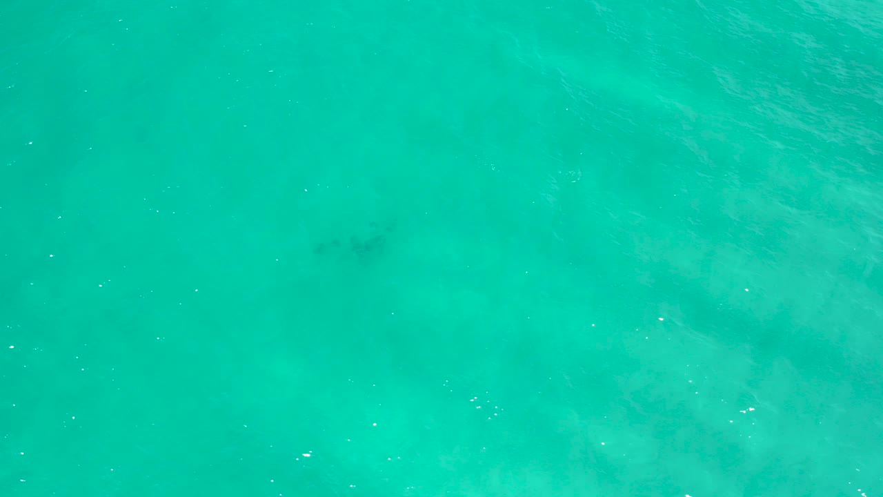 Overhead turquoise ocean water in San Jose Del Cabo, Mexico with faint darker shapes under the surface and no visible people.