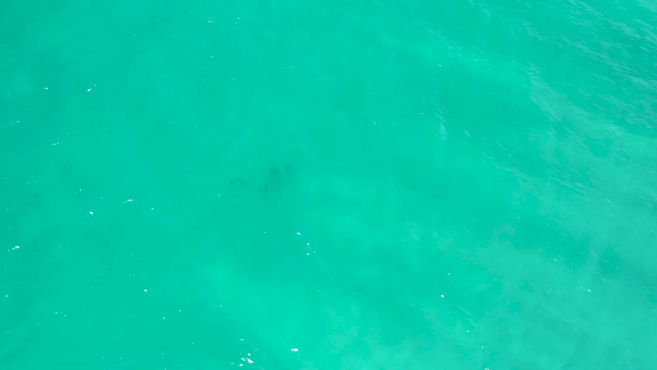 Top-down view of turquoise water in San Jose Del Cabo, Mexico with darker underwater shadow areas drifting through the center and no visible people.