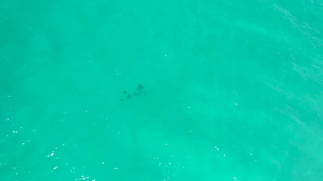 Sea green water with a small fish cluster below the rippled surface.