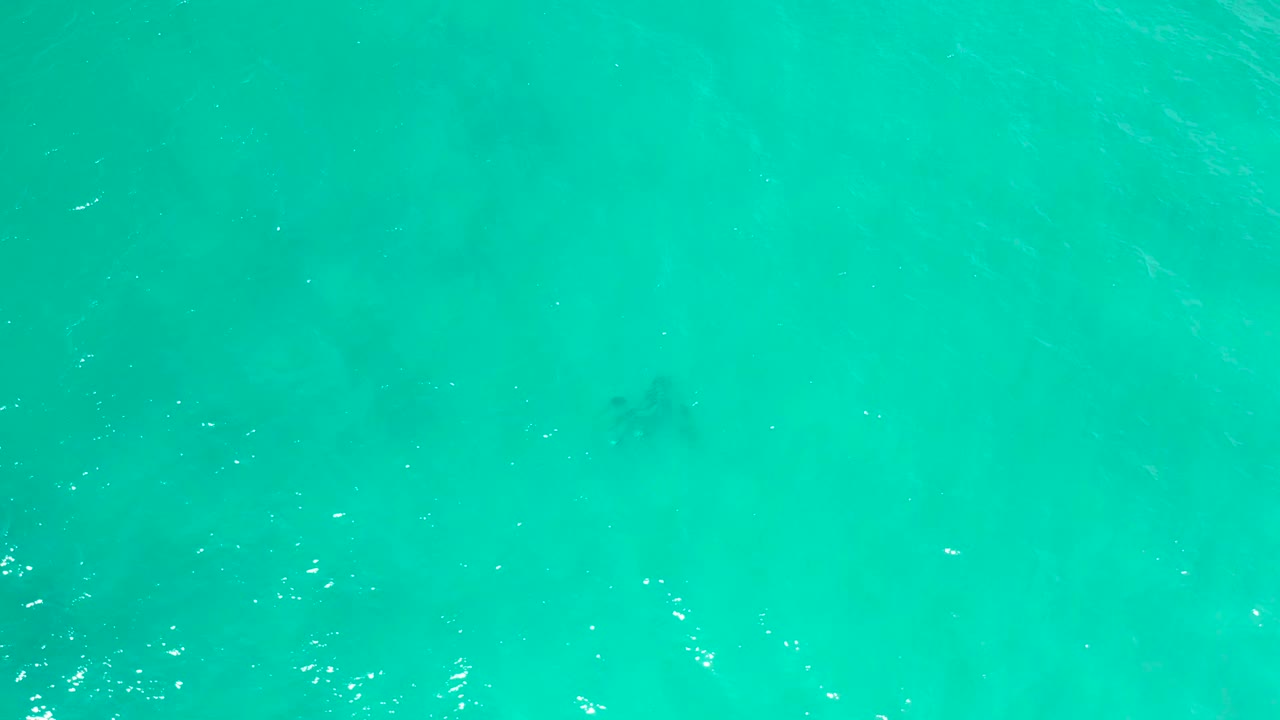 Overhead turquoise sea in San Jose Del Cabo, Mexico, with pale ripples, scattered bright flecks, and no visible people.