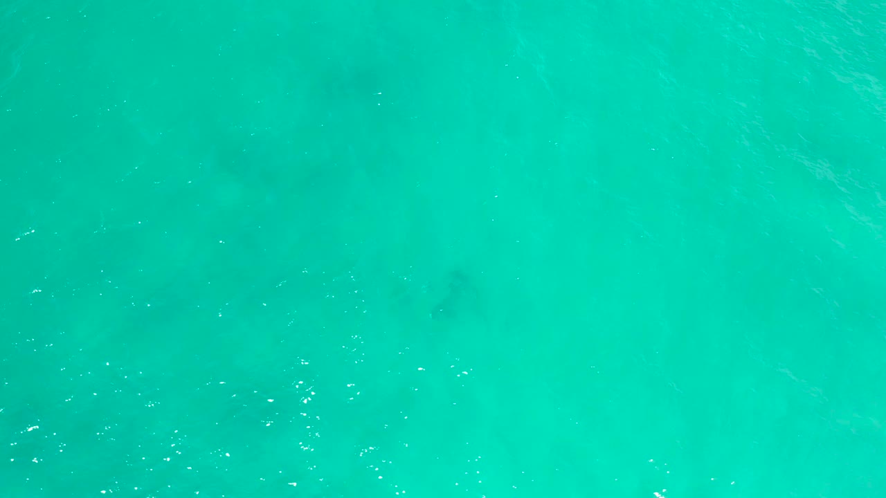 Top-view cyan sea water in San Jose Del Cabo, Mexico, with muted darker underwater shapes and a few small white surface glints, no visible people.
