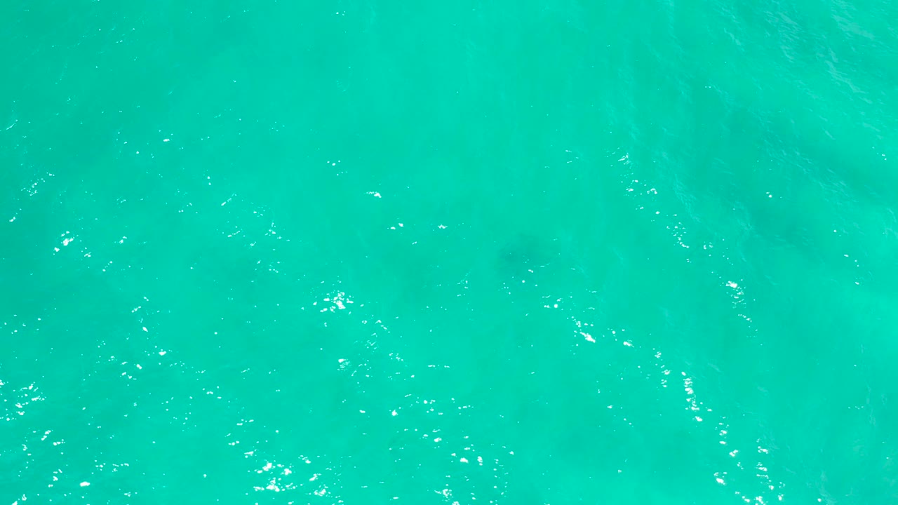 Turquoise sea surface in San Jose del Cabo, Mexico, seen from directly above with scattered white reflections and no visible people.