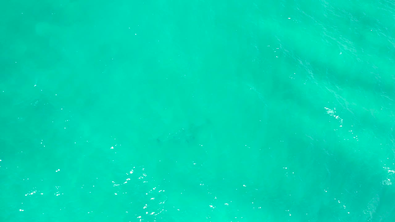 Top-down view of clear aqua ocean water in San Jose Del Cabo, Mexico, with scattered bright ripple highlights and no visible people.