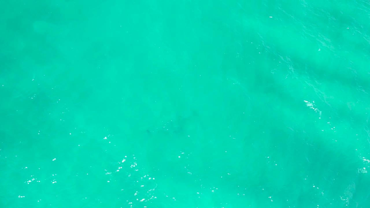 Clear blue-green sea surface in San Jose Del Cabo, Mexico, with faint darker shapes under the water and no visible people.