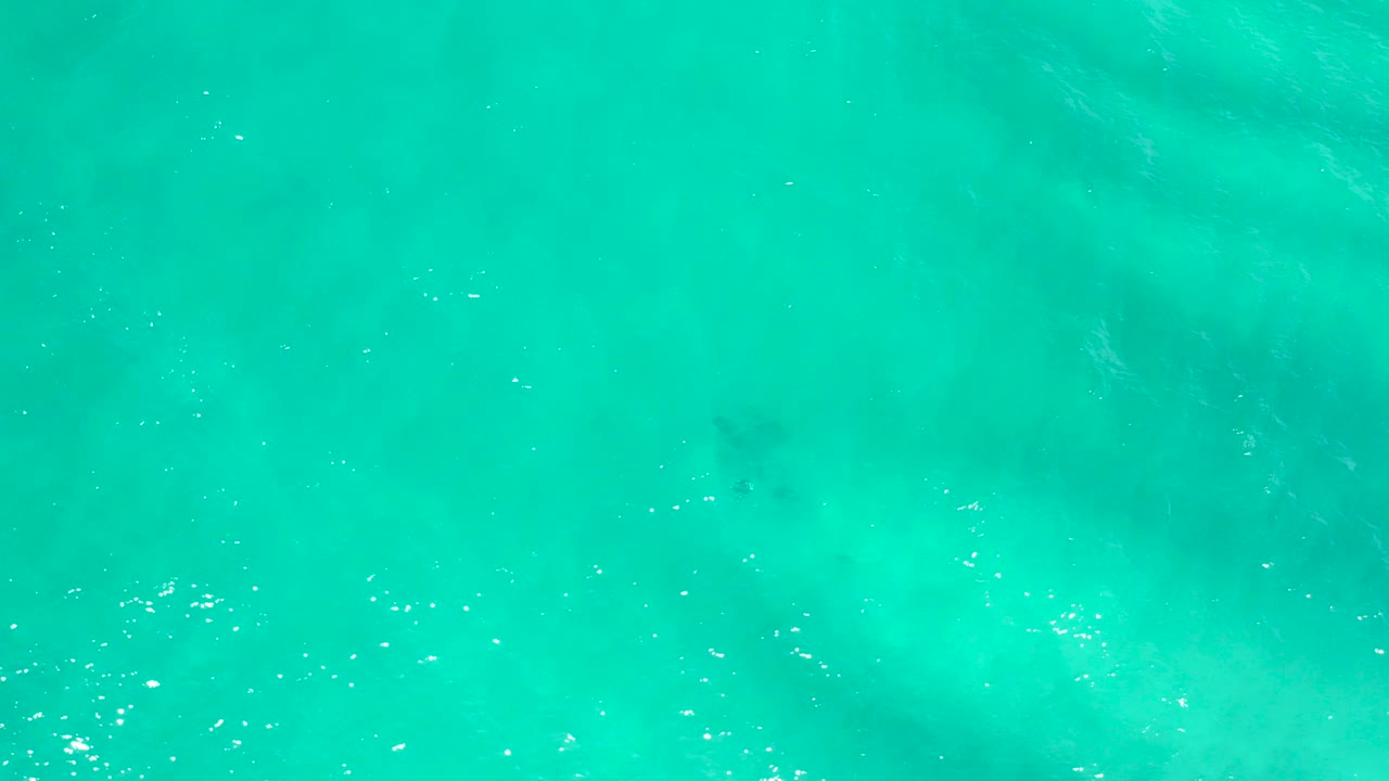Overhead turquoise ocean water in San Jose Del Cabo, Mexico, with scattered sun sparkles, pale underwater patches, and no visible people.