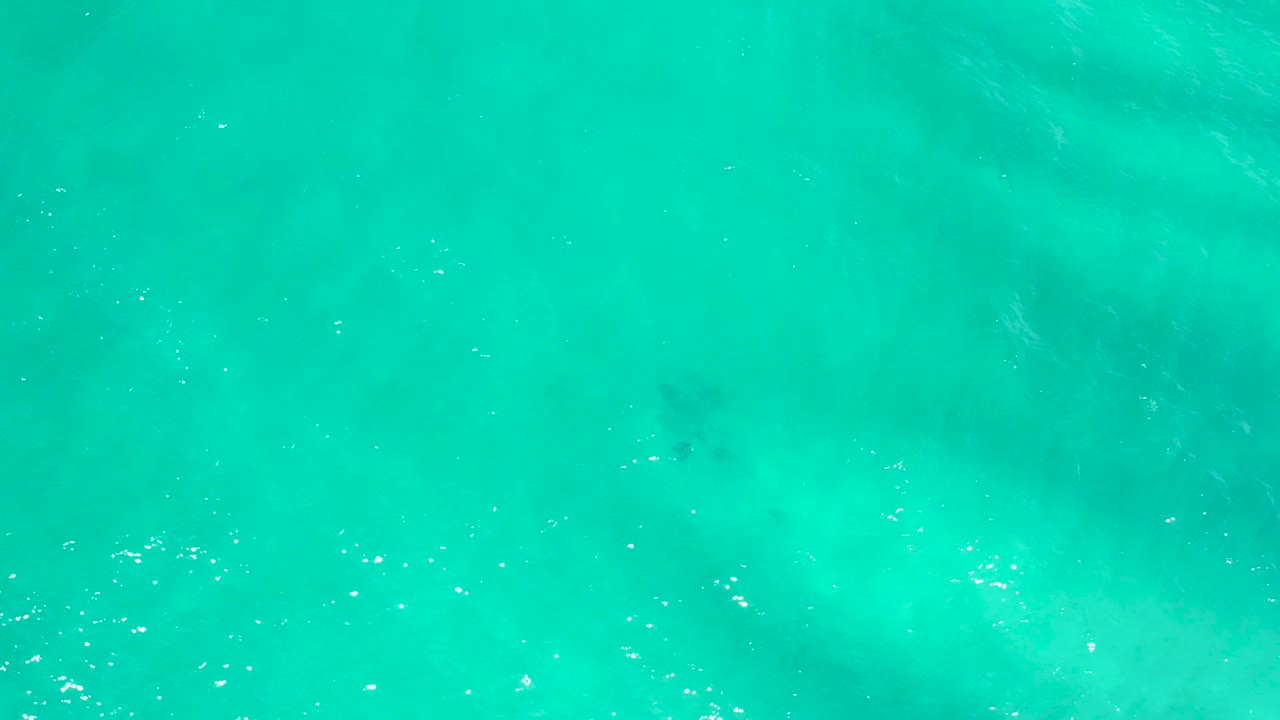 Overhead green-blue water in San Jose Del Cabo, Mexico, with faint darker submerged patches, light surface ripples, and no visible people.