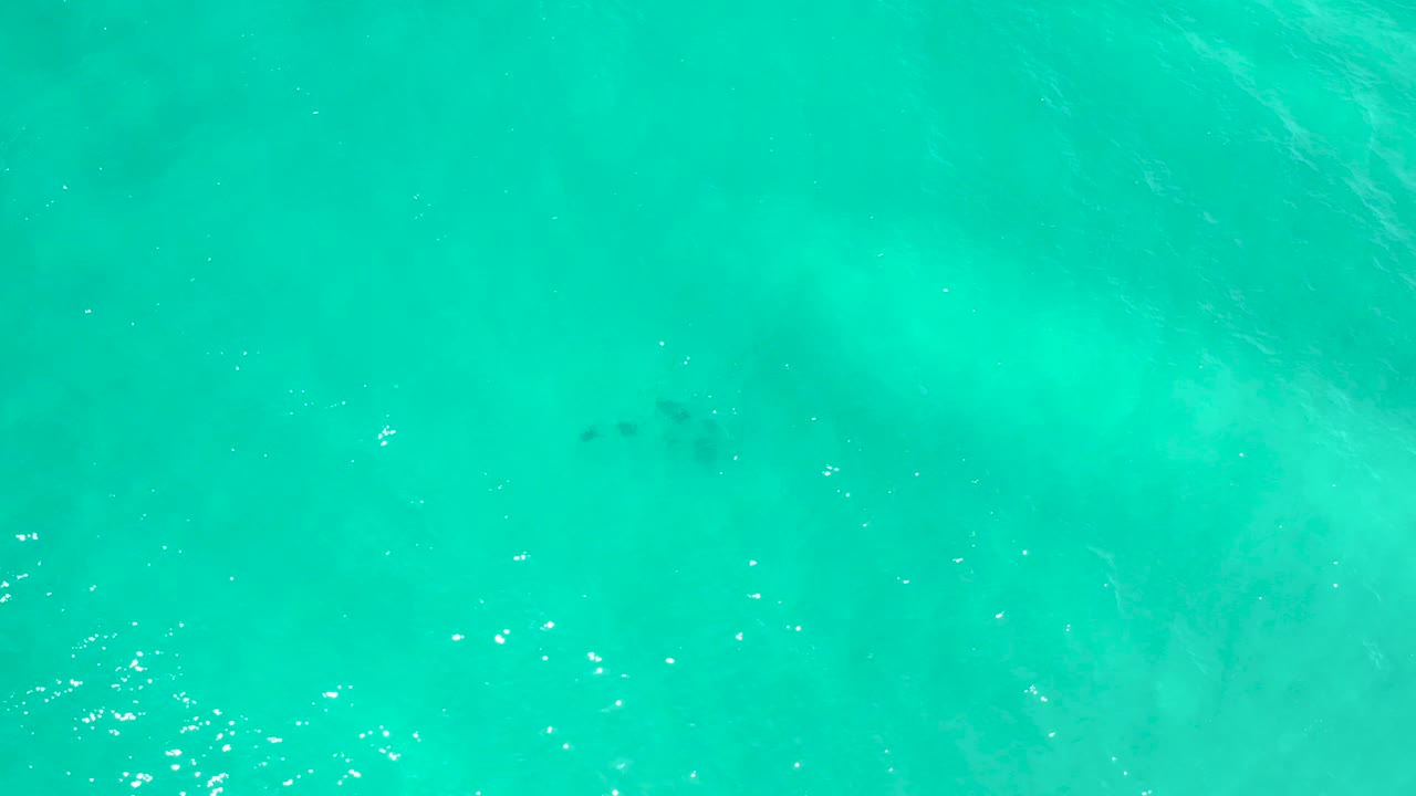 Top-down San Jose del Cabo ocean view with turquoise water, scattered white glints, and soft underwater texture, with no visible people.