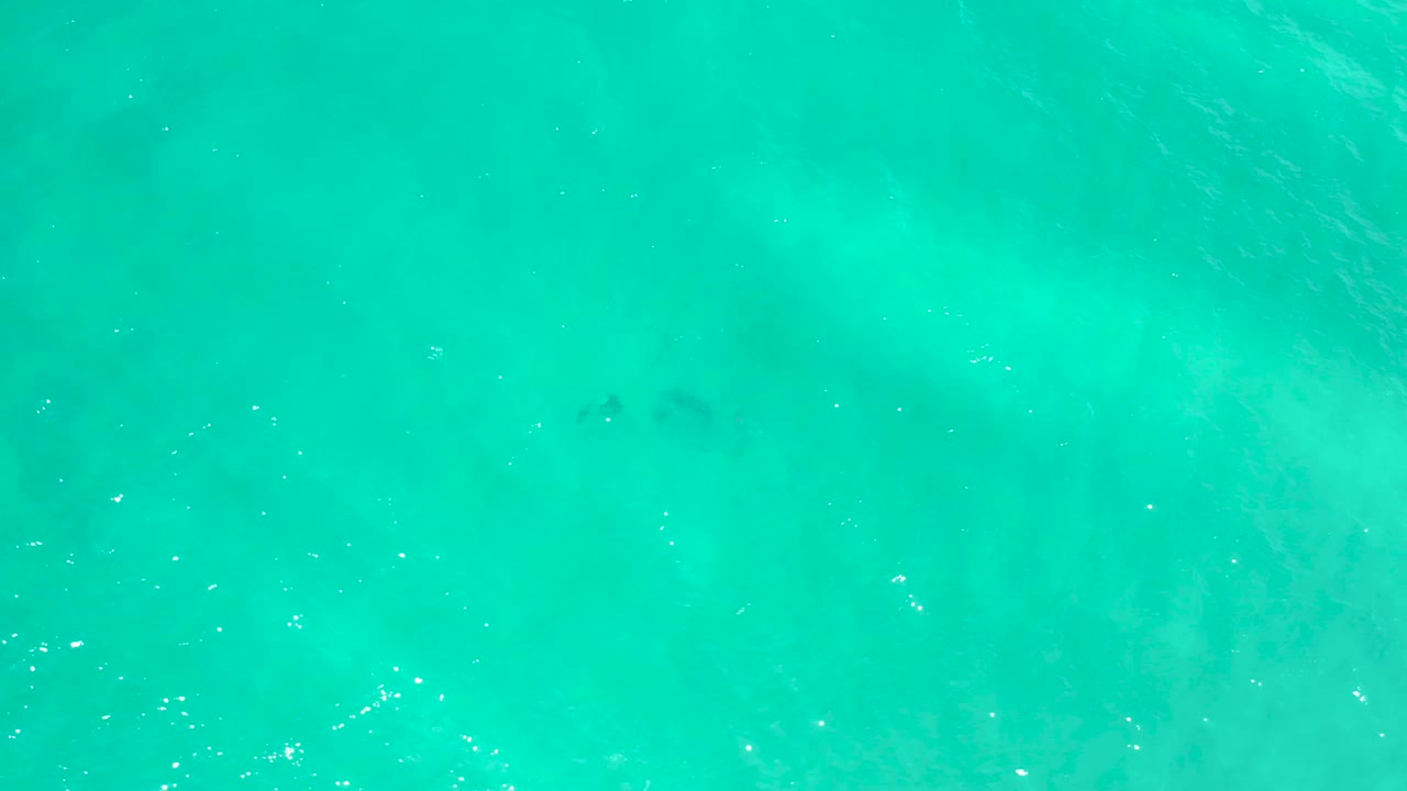Aerial view over clear turquoise water in San Jose del Cabo, Mexico, where pale wave marks sit below the surface and no people are visible.