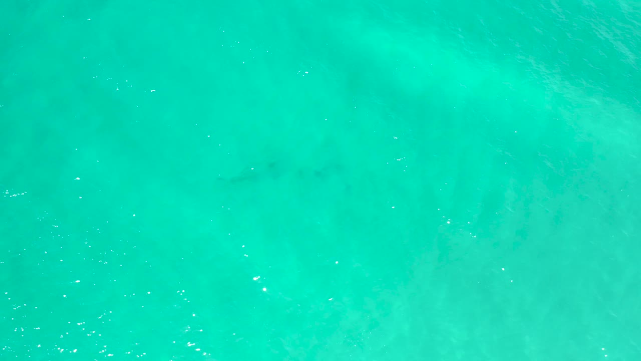 Overhead turquoise water in San Jose Del Cabo shows faint dark fish-like shapes beneath the surface, soft pale bottom patterns, and no visible people.