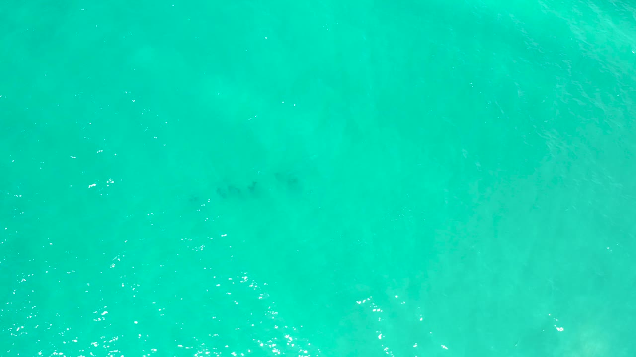 A top-down view of blue-green beach water in San Jose Del Cabo, Mexico, showing pale underwater texture and no visible people.