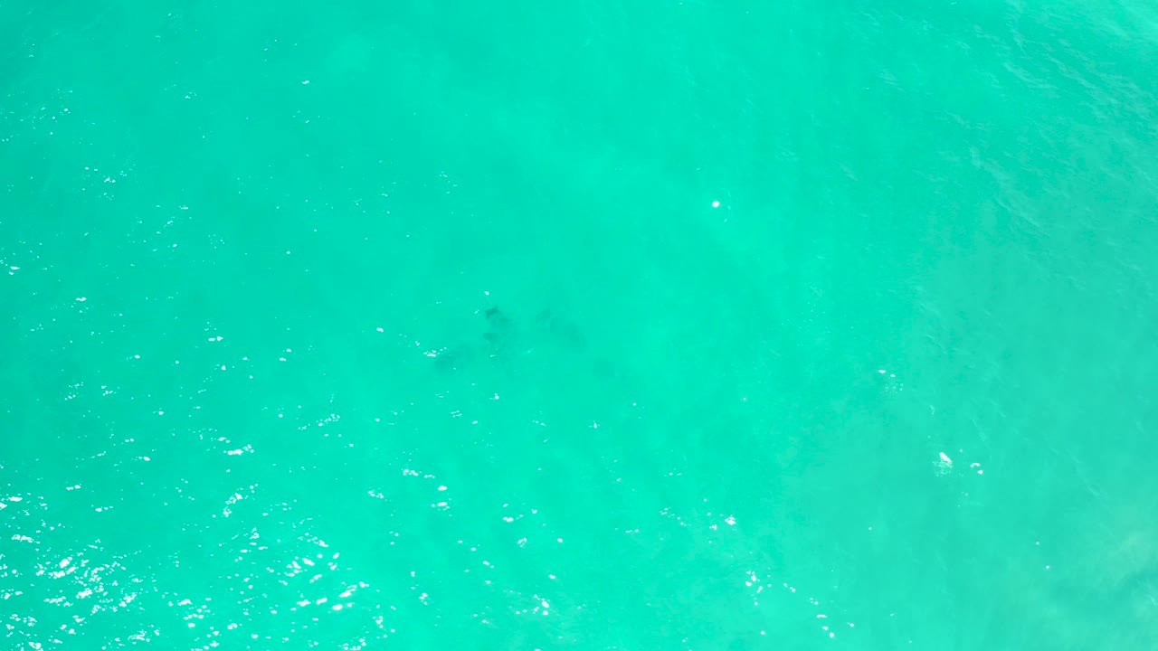 Overhead view of turquoise sea water in San Jose Del Cabo, Mexico, with small sunlit ripples and faint sandy shapes below the surface, no visible people.