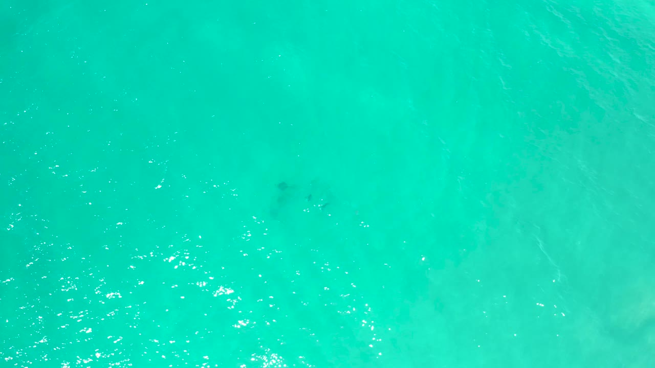 Aqua sea water fills the frame in San Jose Del Cabo, Mexico, with subtle wave texture, soft cloudlike color variation, and no visible shoreline or people.