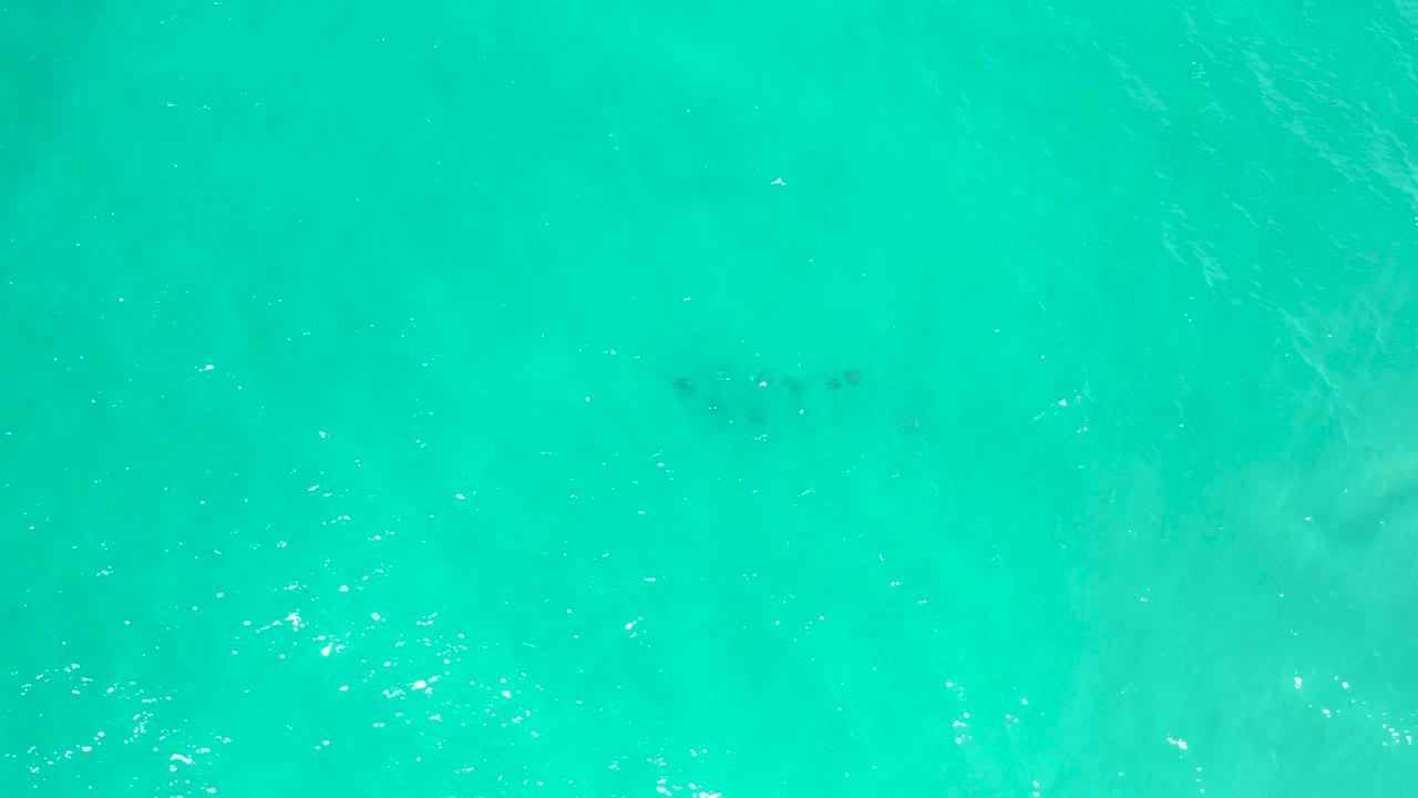 Overhead turquoise sea water in San Jose Del Cabo, Mexico, with soft surface ripples, pale sandy undertones, and no visible people.
