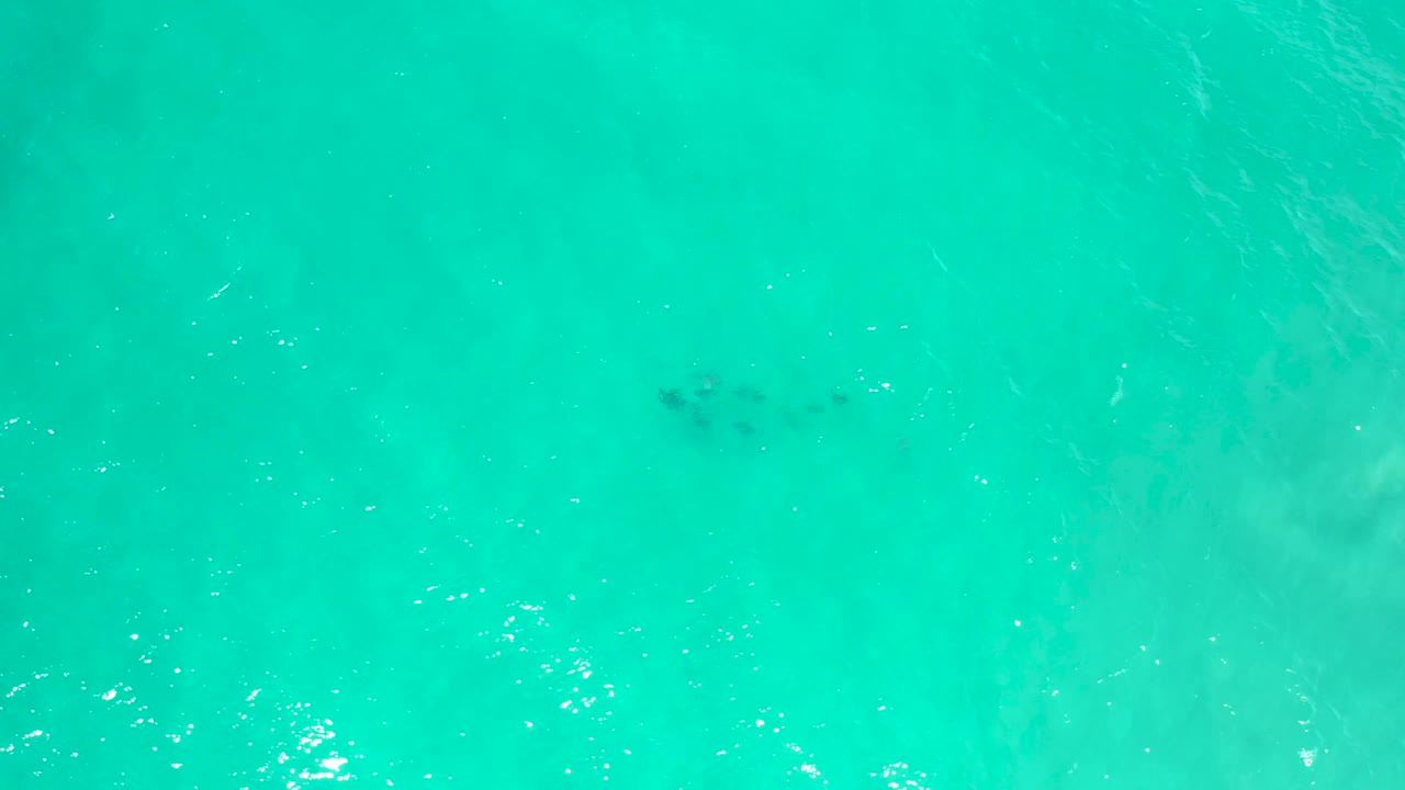 Overhead clear turquoise water in San Jose Del Cabo, Mexico, with brighter ripple highlights and cloudy pale areas beneath the surface, no visible people.