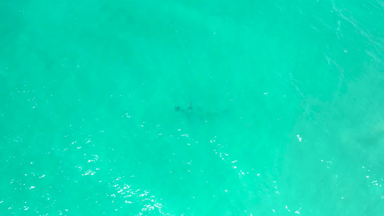 Top-down San Jose Del Cabo sea water with a darker submerged patch near the upper part of frame and gentle surface ripples, no visible people.