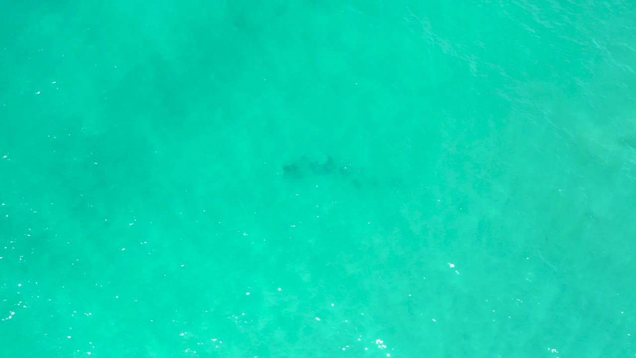 Turquoise ocean surface with soft wave texture