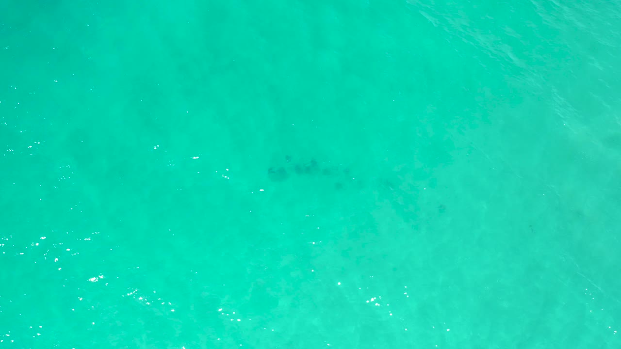 Clear turquoise water in San Jose Del Cabo shows faint dark shapes under the surface, light ripples, and no visible people.