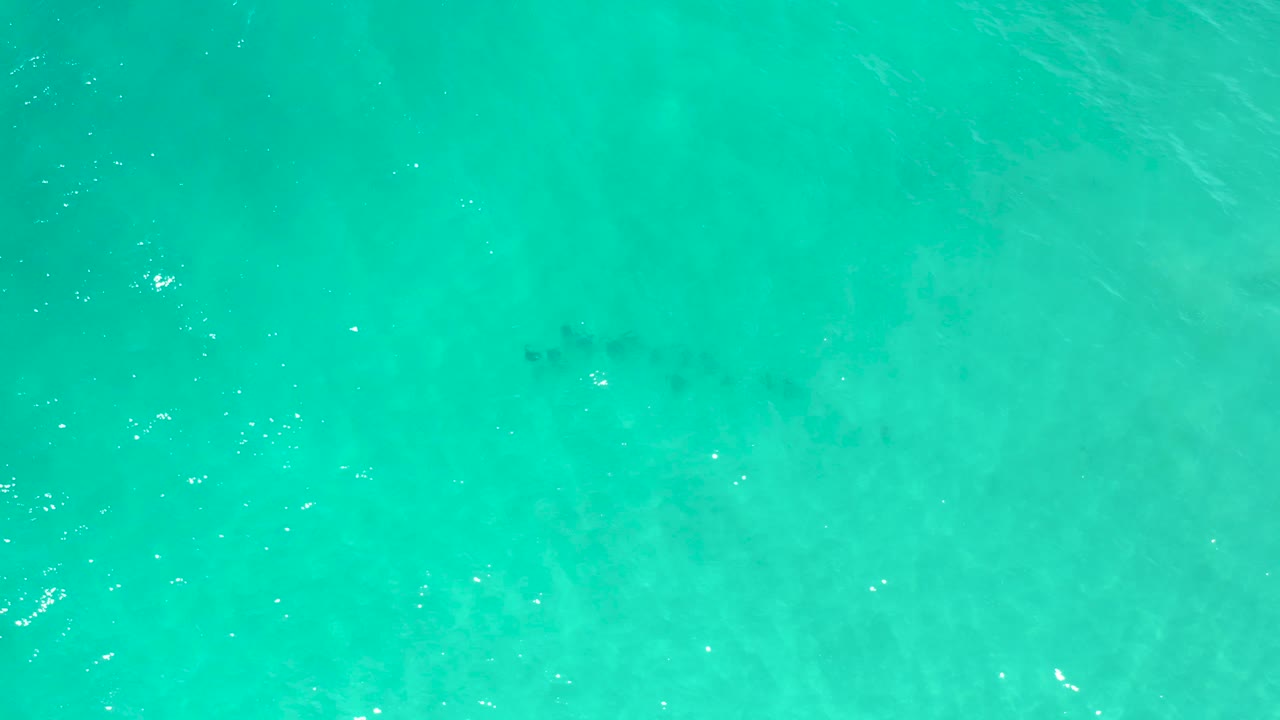 Bright blue-green sea water fills the San Jose Del Cabo frame from above, with small white specks of reflected light and no visible people.