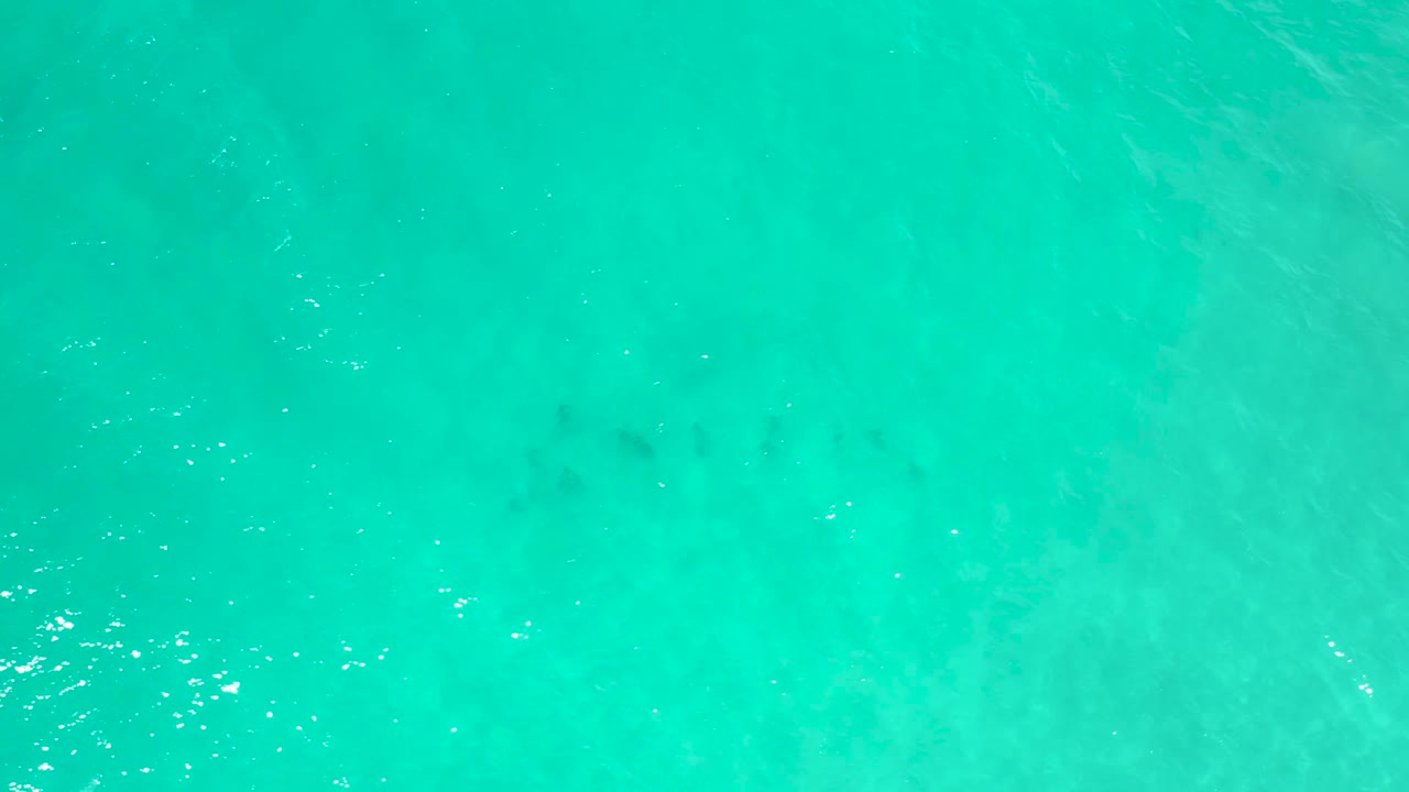 Bright green-blue ocean surface in San Jose Del Cabo, Mexico, seen from above with fine ripples and scattered light flecks, no visible people.