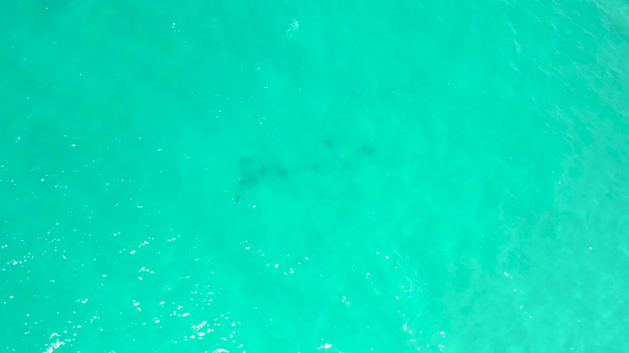 Clear blue-green water fills the frame in San Jose Del Cabo, Mexico, with scattered bright highlights and soft darker patches under the surface, no visible people.