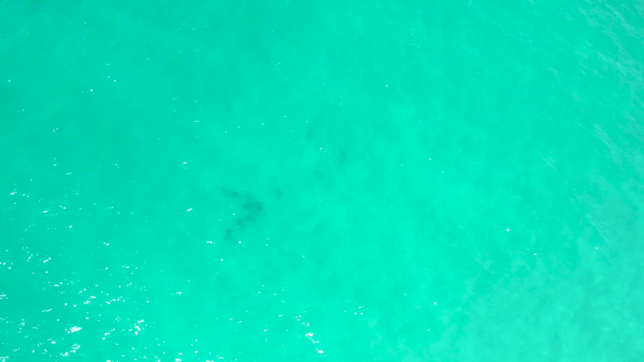 Sea-green water surface with small white glints and soft ripples.