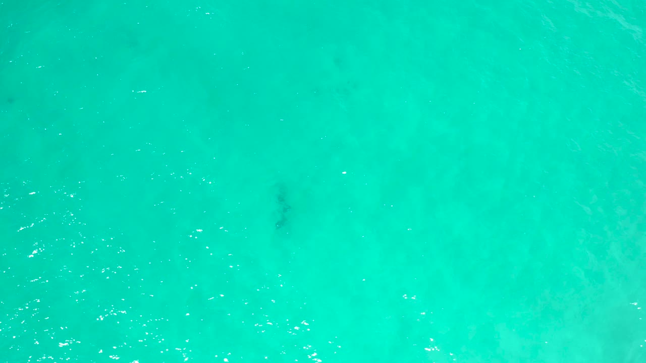 Straight-down view of clear ocean water in San Jose Del Cabo, Mexico, with fine rippling texture and no visible people.