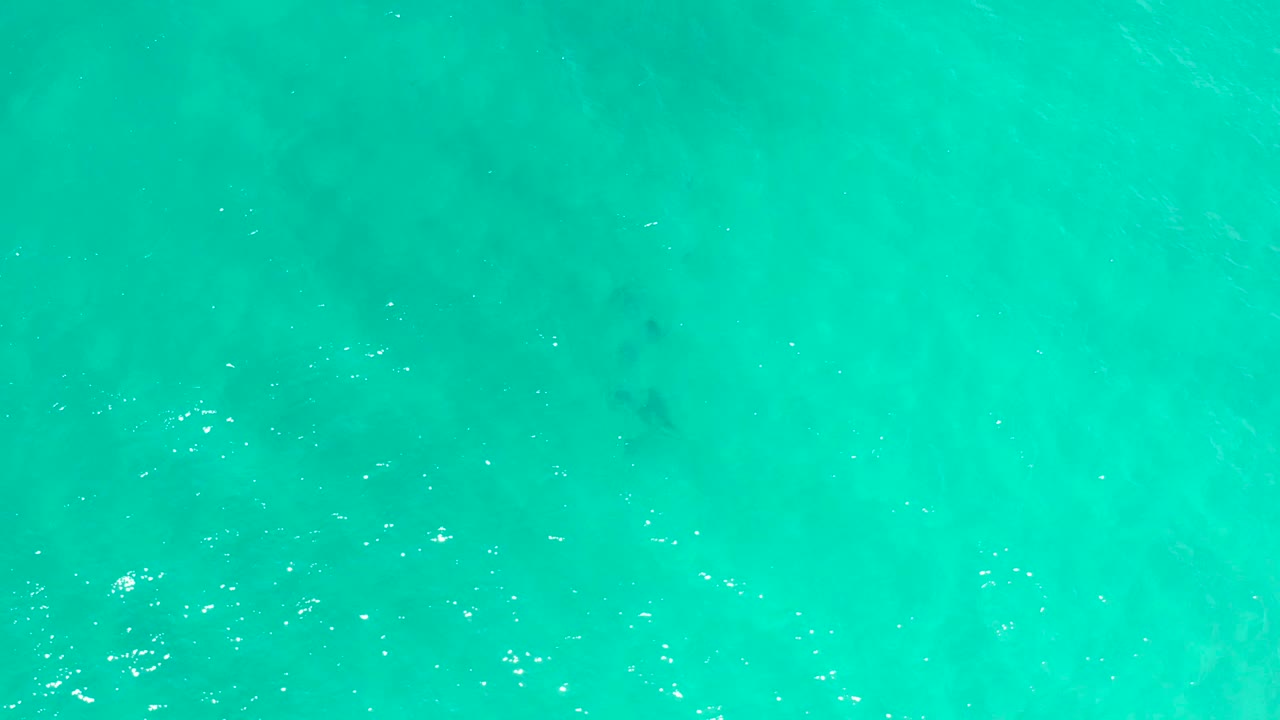 Overhead turquoise water in San Jose Del Cabo, Mexico, with subtle underwater shadow areas and fine ripples, no visible people.