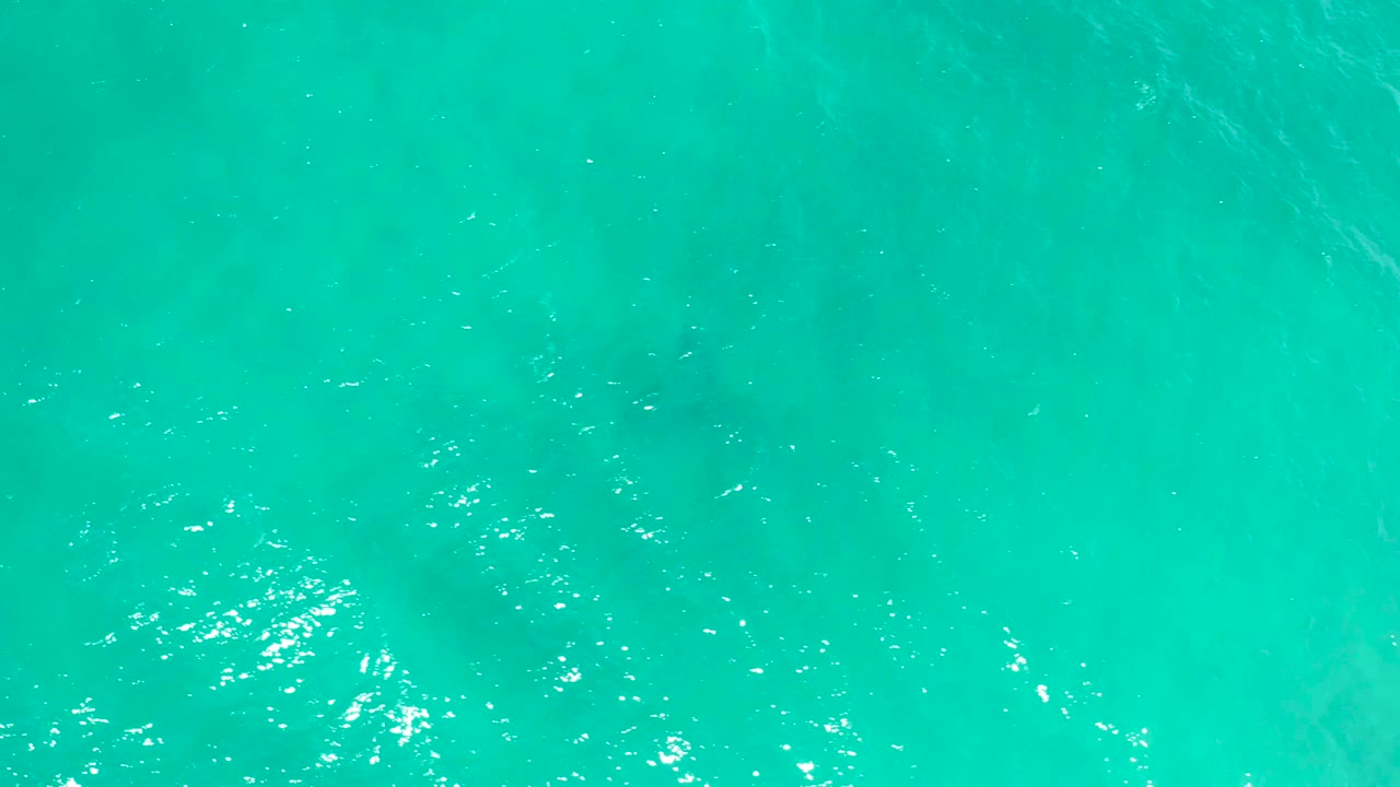 Top-down turquoise ocean surface in San Jose del Cabo, Mexico, with faint darker shapes below the water and no visible people.