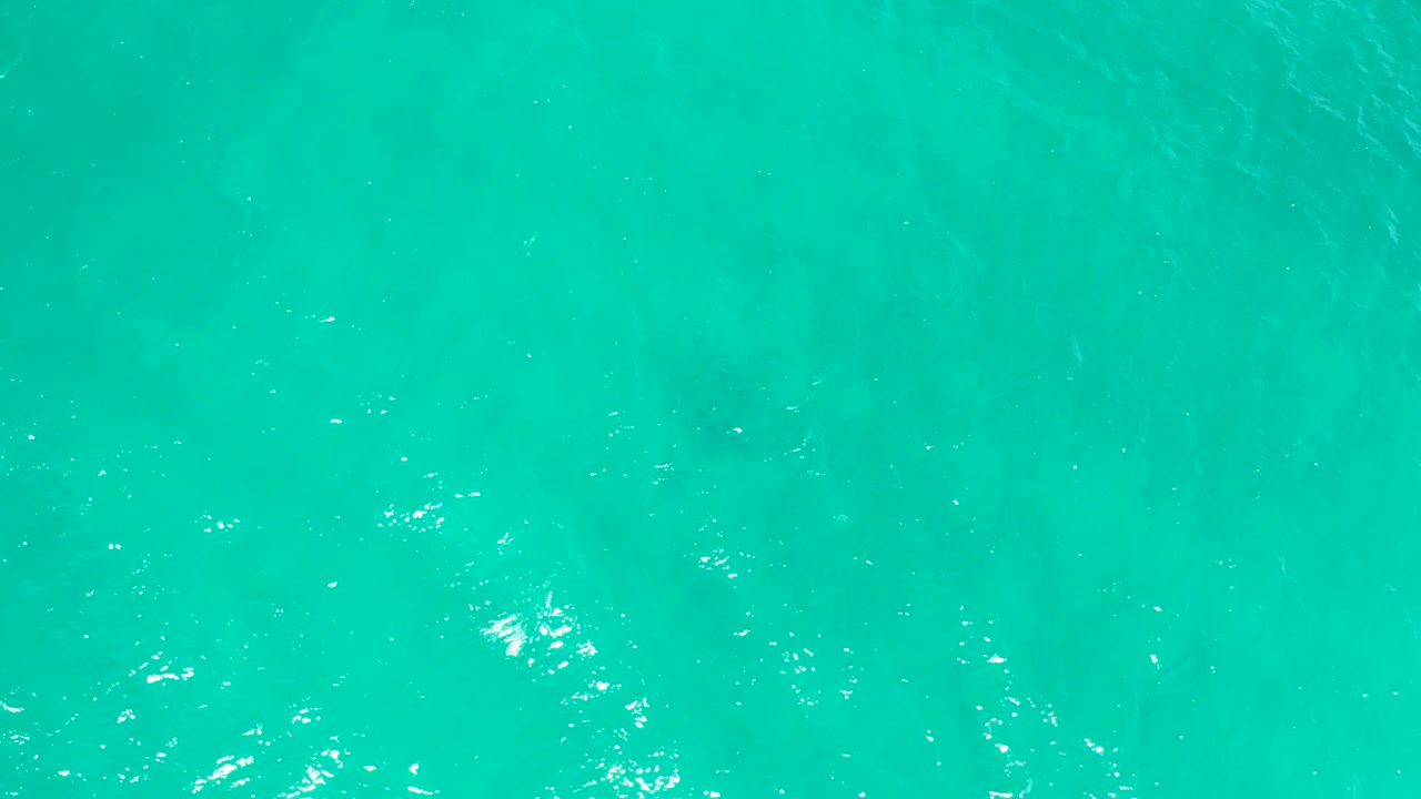Straight-down blue-green ocean view in San Jose del Cabo, Mexico, with fine ripples spread evenly across the frame and no visible people.