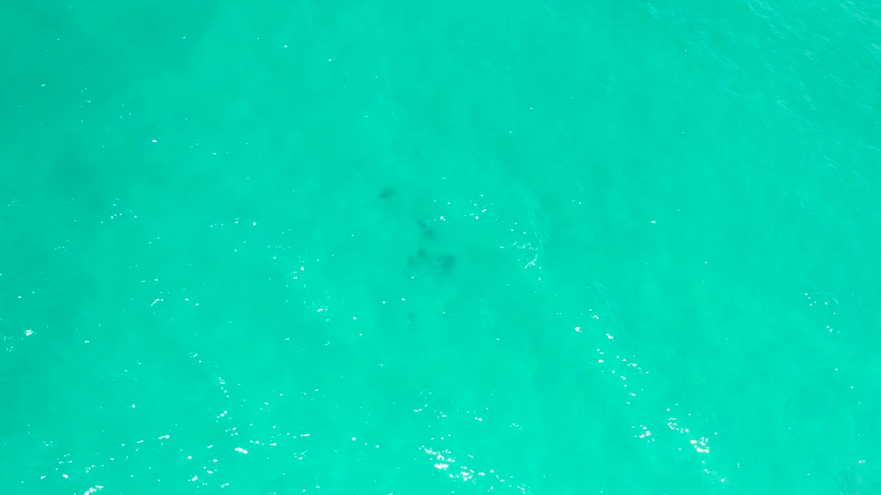Top-down view of turquoise sea water in San Jose Del Cabo, Mexico, with fine ripples, pale sun reflections, faint darker patches below the surface, and no visible people.