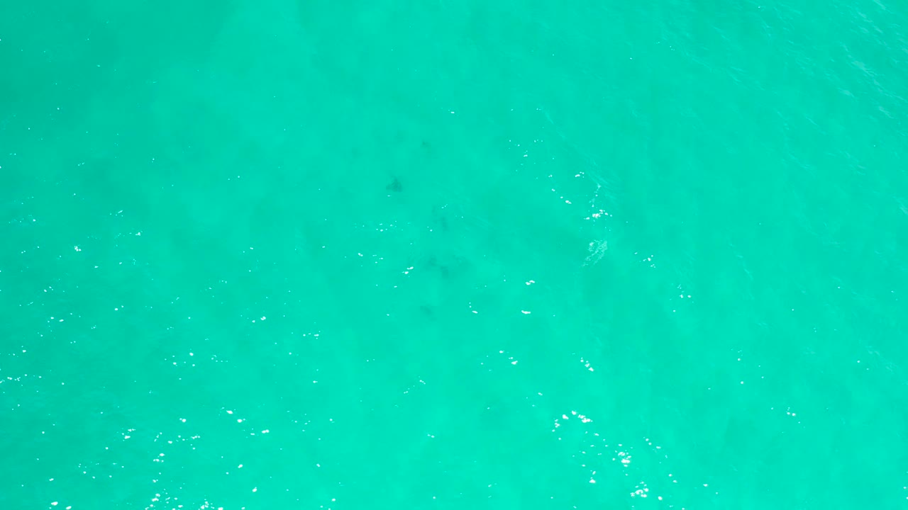 Top-down San Jose Del Cabo ocean frame with turquoise water, faint diagonal wave texture, small white glints, soft underwater color variation, and no visible people.
