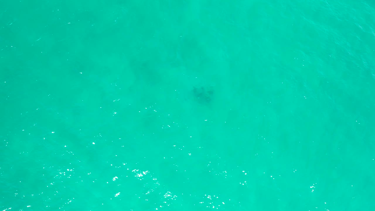 Clear turquoise water fills the frame in San Jose Del Cabo, Mexico, with pale underwater texture and no visible people.