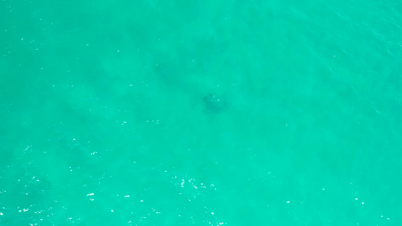 Top-down view of blue-green ocean water in San Jose Del Cabo, Mexico, with a darker submerged patch near the center and no visible people.