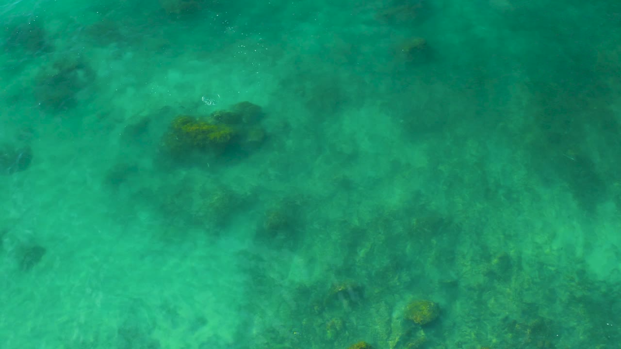 Transparent green water reveals uneven rocks and sandy patches below the surface at Shipwrecks Beach, Baja California Sur, with no visible people.