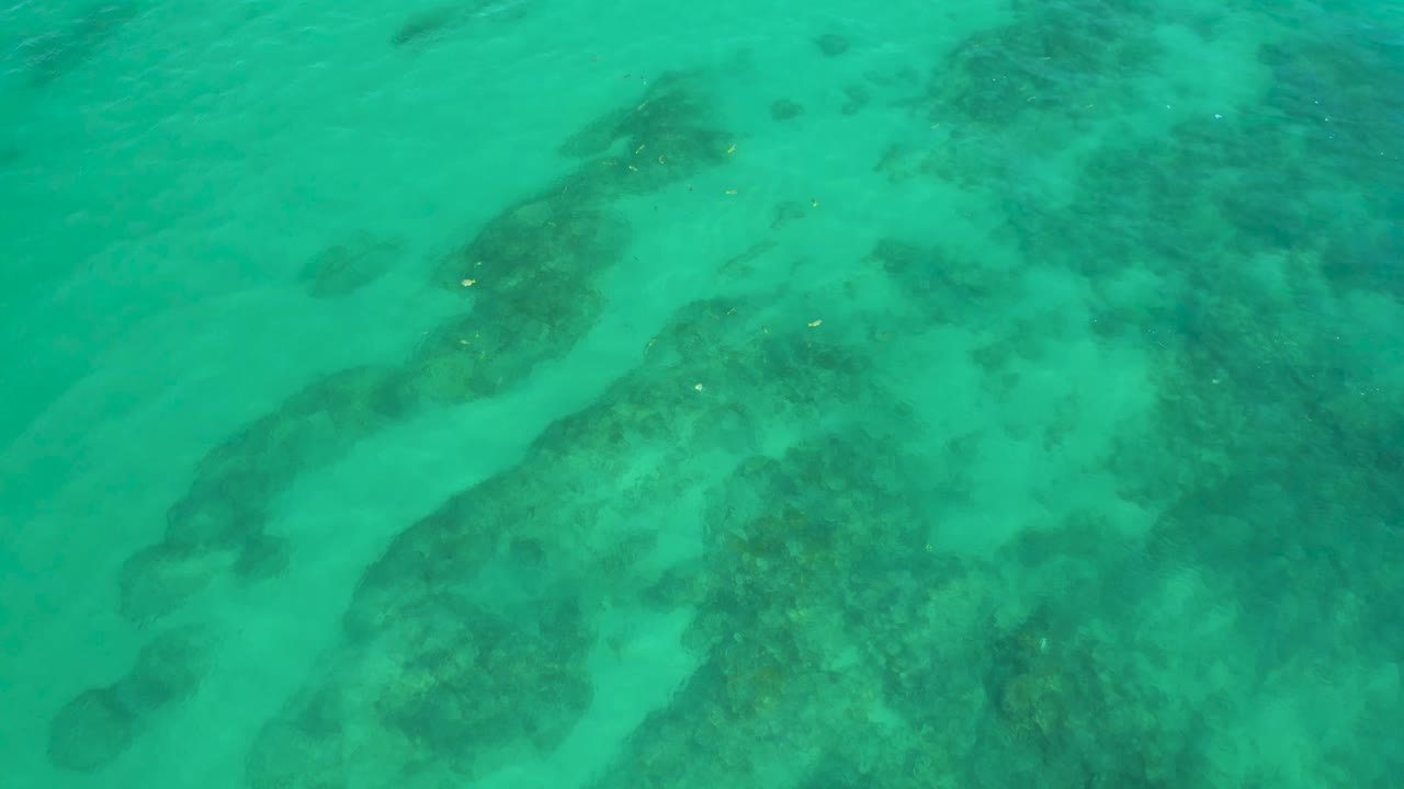 Green shallow ocean at Shipwrecks Beach shows rippled surface texture over broad dark reef forms, with no visible people.