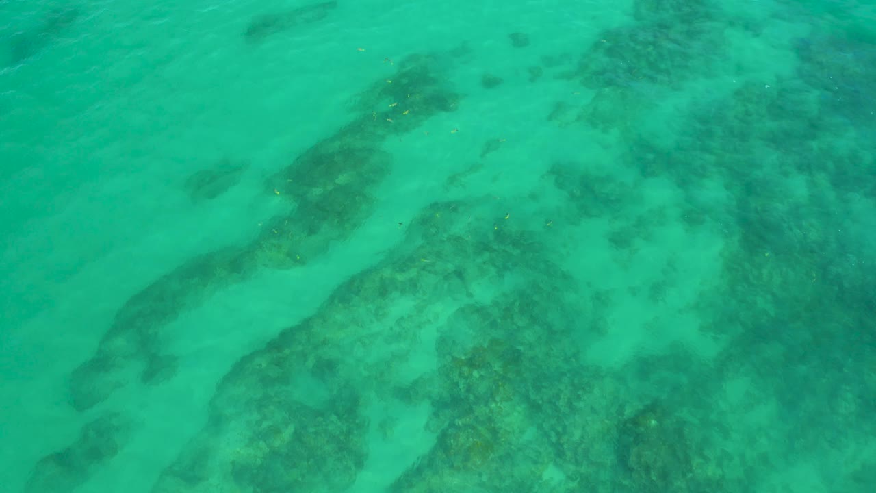 Top-down Shipwrecks Beach water view with muted green color, sandy channels, and irregular reef patches beneath the surface, with no visible people.