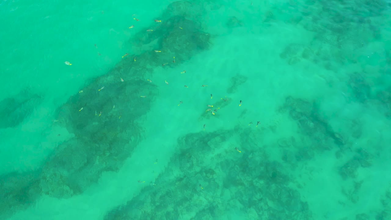 Clear water at Shipwrecks Beach, Baja California Sur, fills the frame while small fish cluster near darker submerged formations, with no shoreline and no visible people.