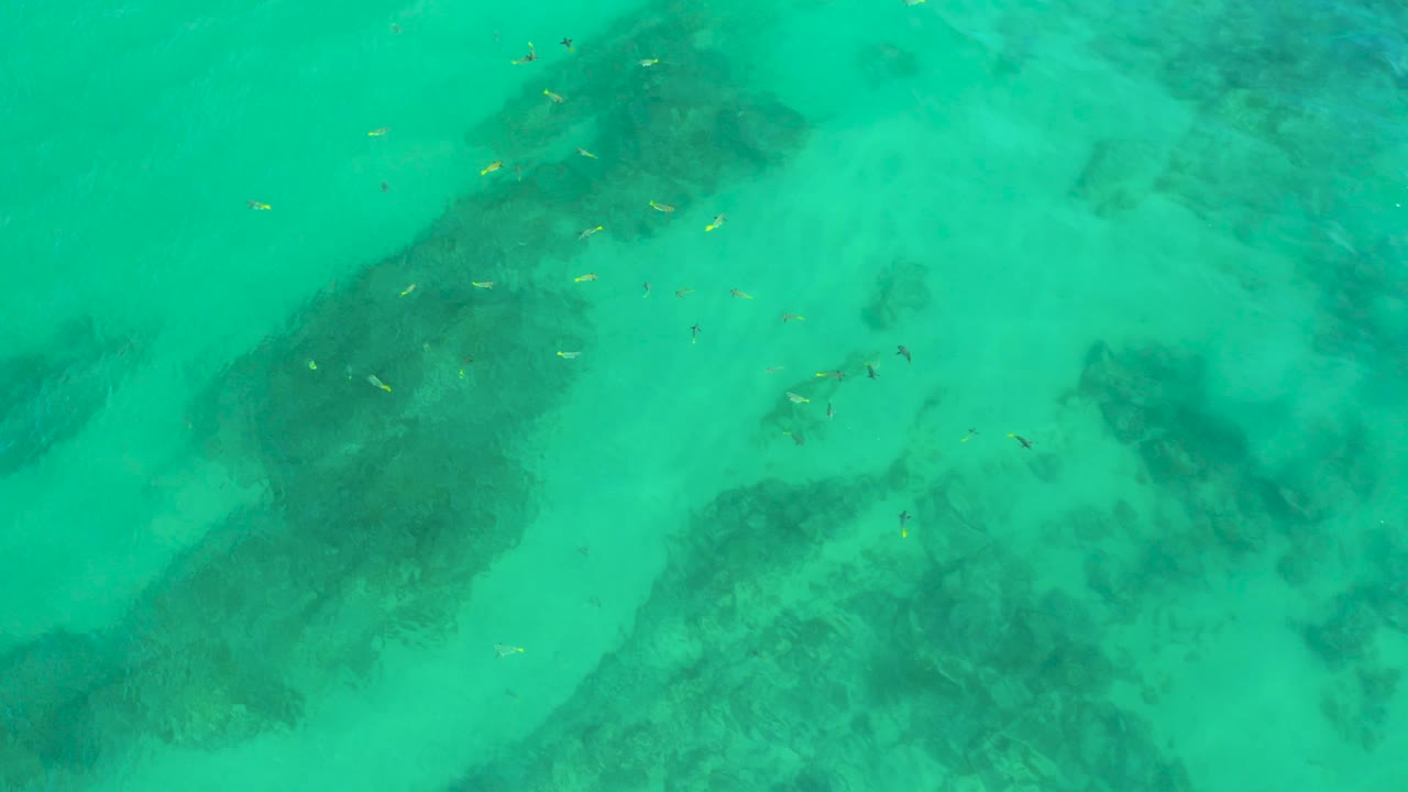 Tiny yellow and dark fish are visible over clear Shipwrecks Beach water in Baja California Sur, with dark underwater shapes below and no people or built objects in frame.