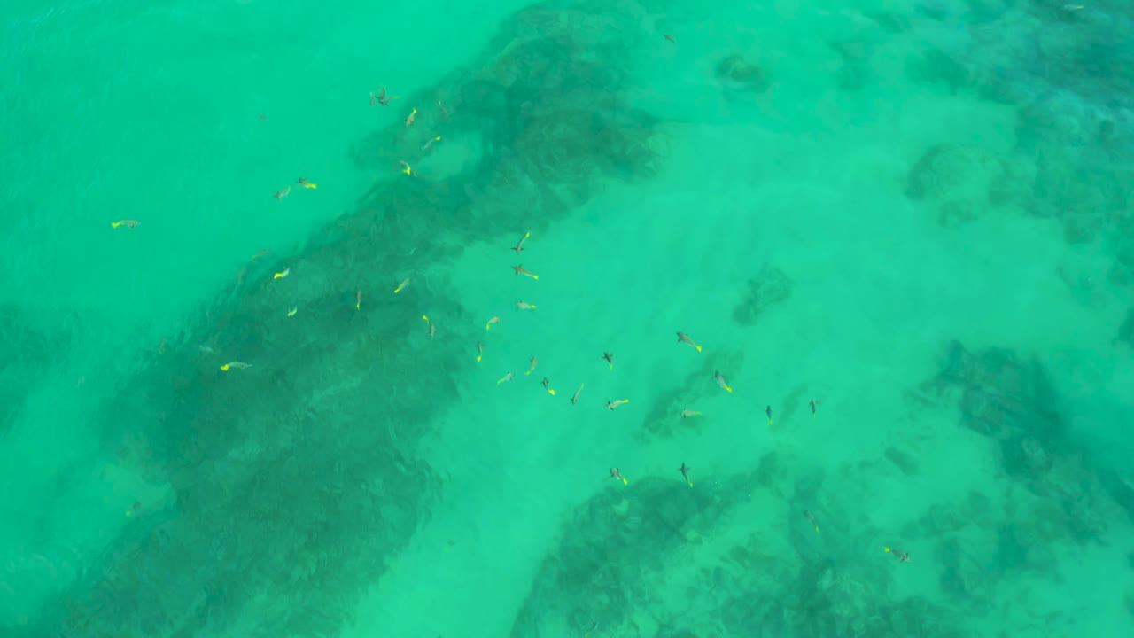 Small fish appear near darker reef-like shapes under the Shipwrecks Beach water, with pale sandy areas around them and no visible people.