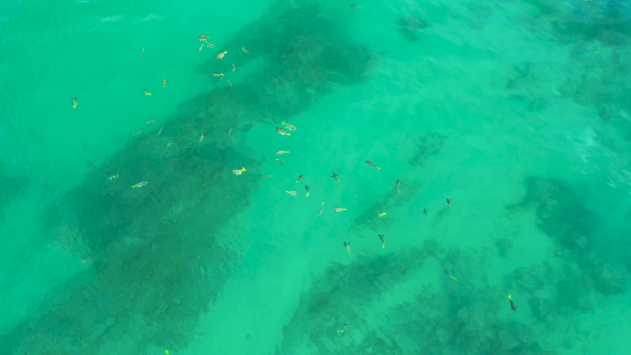 Mid-clip frame over Shipwrecks Beach in Baja California Sur, with scattered fish crossing pale sand and green-blue water, no visible people.